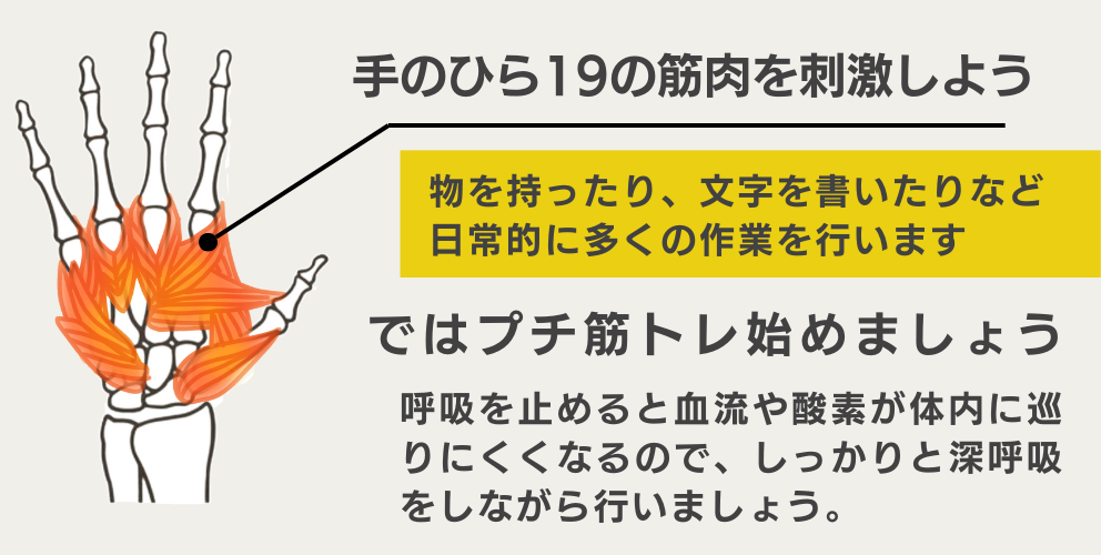 フレイル予防｜70代,80代,90代シニアライフ＆シニアファッション通販ショップ「アトランダム」